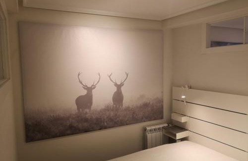 Casco Viejo Apartment | Vive Vitoria! en la Almendra Medieval Zapa