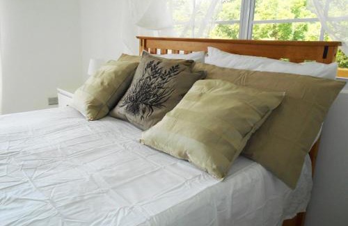 Calvigny Apartment | VJ's Guesthouse Mountain View