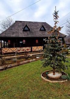 Salistea de Sus House | Vlad De Săliște