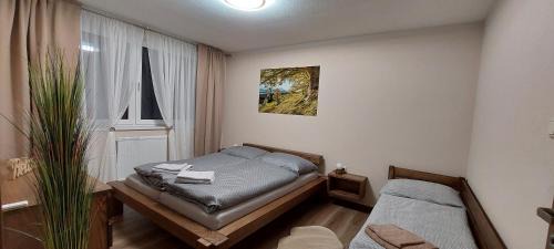 Telgart Apartment | VLADIMÍRA APARTMÁN TELGÁRT