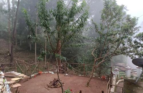 Suryanelli House | Voyage Munnar Laya Home Stay