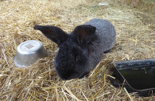 Eggesin Apartment | Vrbo Property