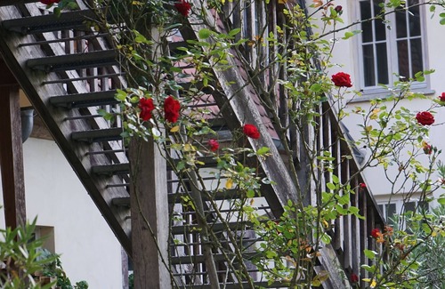 Urbar Apartment | Vrbo Property