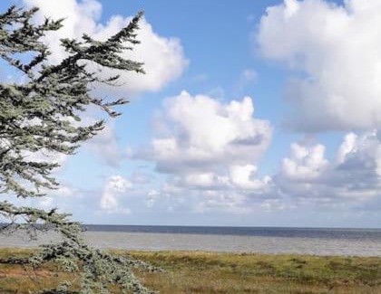Cherrueix House | Vue mer pour une escale en baie du Mt-St-Michel