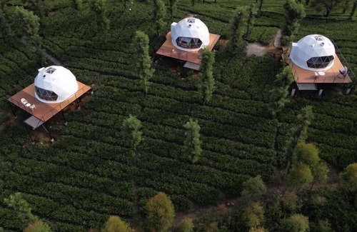Vayittiri Resort | Vythiri Tea Valley