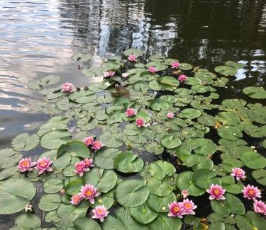 Tuchomie Apartment | W Ciemno