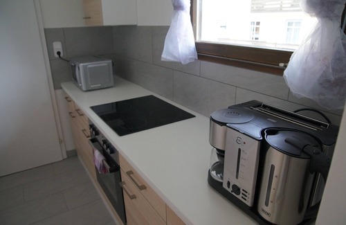 Hallstatt Apartment | W & S Executive Apartments - Hallstatt I