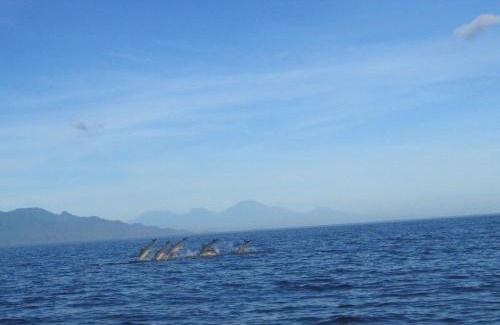 Kalisada Villa | Wake up to the Sea of Bali Beachfront luxury plus