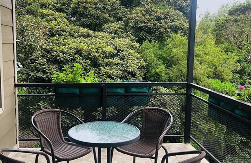 Monteverde Apartment | Wake Up with the Birds in Monteverde – Balcony, Views & Great Location