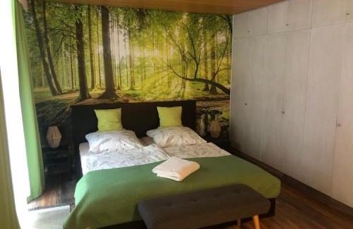 Bad Grund Apartment | Waldläufer