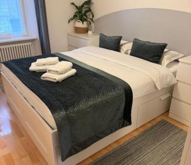Waldshut-Tiengen Apartment | Waldshut -Kaiser55