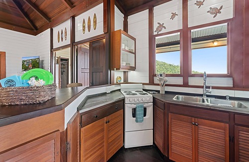 Estate Enighed Condo | Walk 2 Cruz Bay 2024 Renovations W/D WiFi Parking Battery Backup