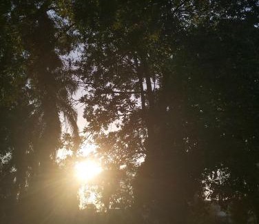 Faisalabad Apartment | Walk & Comfort Stay Inn