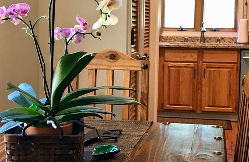 Incline Village Condo | Walk To Lake! Upgraded Sunny, And Quiet Upper McCloud One 1 Bedroom