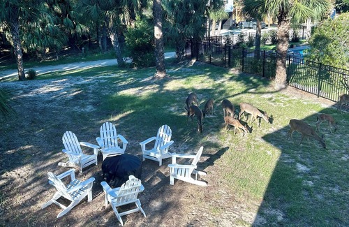Edisto Island House | Walk to the Beach! Firepit, games, pets welcome, bring your boat!