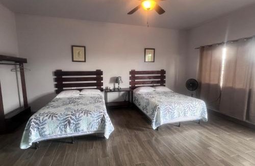 Esteli House | Wally’s Place