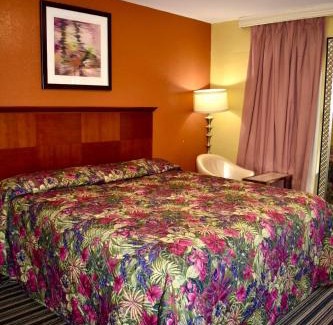 Walnut Forest Hotel | Walnut Forest Motel