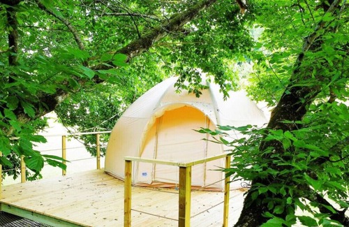 Newport House | Walnut TreeHouse - Dome Tent Over the Creek