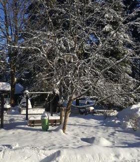 Neuhaus am Rennweg House | Wanderhütte Zum Bernhardsthal
