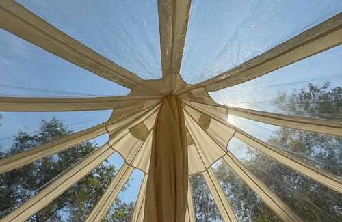 Boss Apartment | Wandering Willow – Private Stargazing Glamping Tent with Fire Pit & Open Skies