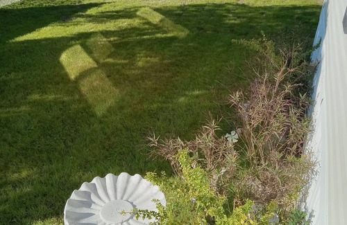 Homosassa House | Warm weather and lots of things to do on the water