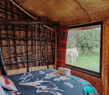 Cotopaxi Cabin | Wasi Andina Lodge