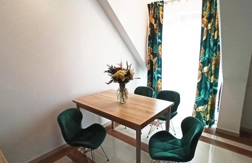 Niedzwiedz Apartment | Wasielówka