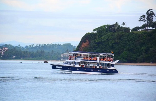 Mirissa Boat Rental | Watch The Real Whale Paradise On Earth