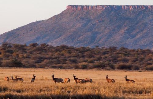 Okosongomingo House | Waterberg Guest Farm