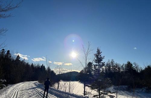Chertsey Ski Chalet | Waterfront Chalet - Serendipity Hideaway - Swim, Paddleboards, Cozy Firepit, Family-Friendly, WiFi