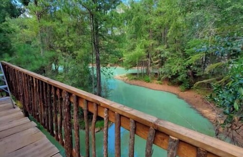 Waller House | Waterfront Treehouse In A Magical Forest!