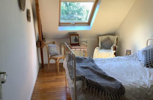 Abbeville House | Waterlilies