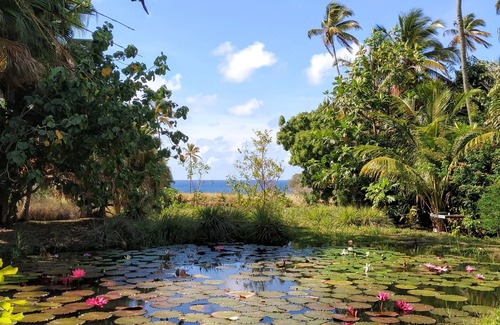 Piaye House | Waterlily House at Balenbouche Estate, on 70 acres of beachfront property