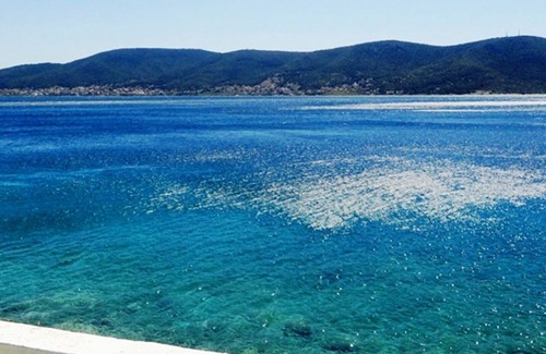 Salamis House | Wavedance Accommodation (Estia)