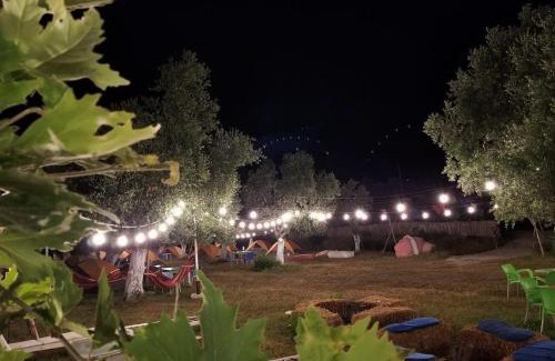 Qazim Pali Other | Waveside Camping