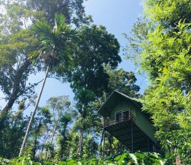 Vayittiri House | Wayanad Whistling Woods