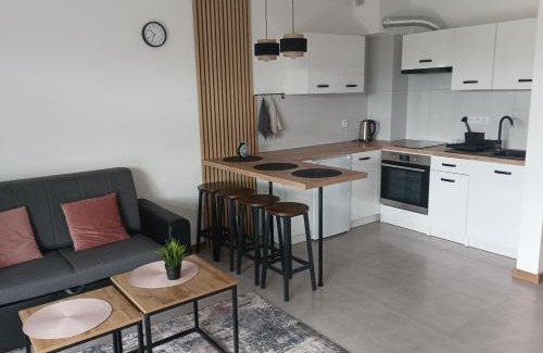 Chmielno Apartment | Wczasy Chmielno Apartament PUDROWY