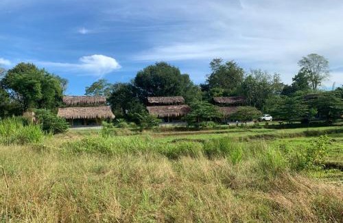 Wilgamuwa Hotel | Web of Life Resort Wasgamuwa