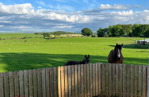 Kirkmichael House | Wee Shepherds Hut MaybolenTry country living for your next short break.
