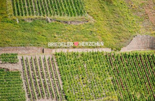 Briedel House | Wein- und Sektgut Markus Hensler