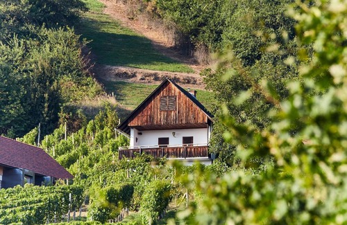 Kloech Cabin | Weinberg Lodge - Kellerstöckl