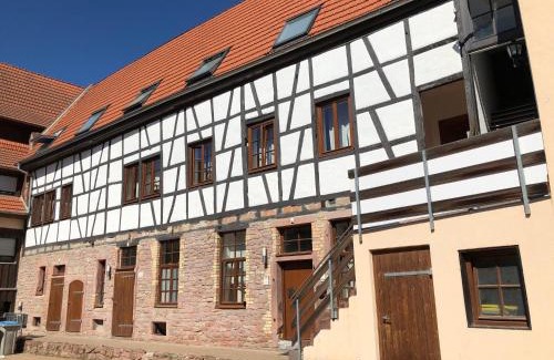 Seckenheim Apartment | Weingärtner Appartements