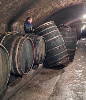 Saarburg House | Weingut Dr Wagner