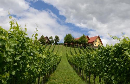 Glanz an der Weinstrasse Bed & Breakfast | Weingut Fellner