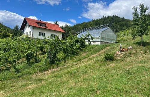 Leutschach Apartment | Weingut Kleinmonte