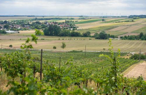 Neusiedl an der Zaya House | Weingut Martinshof