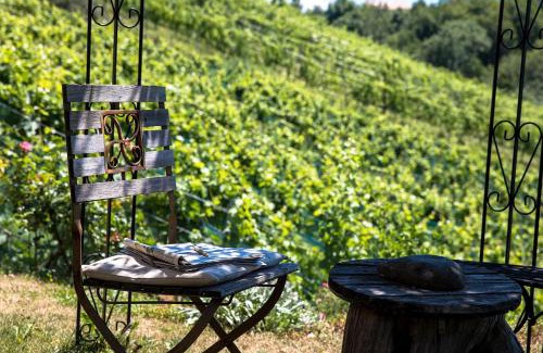 Glanz an der Weinstrasse House | Weinhof Narat-Zitz