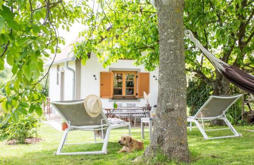 Deutsch Schuetzen-Eisenberg House | Weinloft I by WEINLOFTS