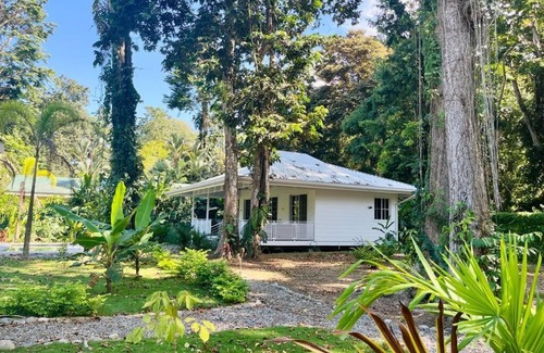 Cahuita House | Welcome to Casa Naturista, a modern beach oasis! 5 min to the beach