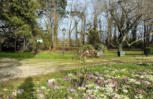 Simard House | Welcome to Les Bons Amis
